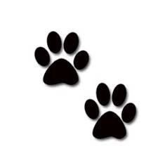 cat paw prints polyvore.com - Google Search
