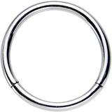 16 Gauge 3/8 Stainless Steel Hinged Segment Ring – BodyCandy
