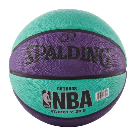 Spalding Varsity 28.5" Basketball - Purple/teal : Target
