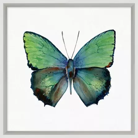 Lillian August 'Butterfly Study 1' Framed Graphic Art Print on Glass | Perigold