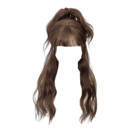 Long Wavy High Ponytail Hair (Brown)