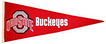 ohio state pennants - Google Search