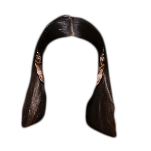 Dark Brown Hair PNG Clips