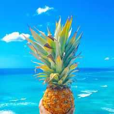 Pineapple and Ocean Background - Pinterest