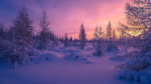 purple winter aesthetic - Google Search