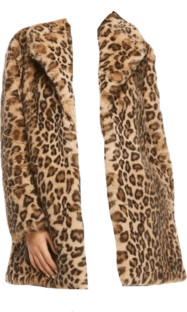 Cheetah Print Coat