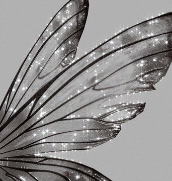 Aesthetic translucent fairy wings