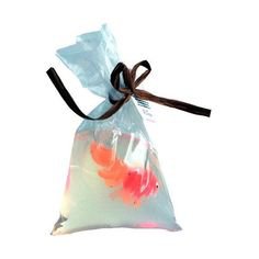 fish in a bag