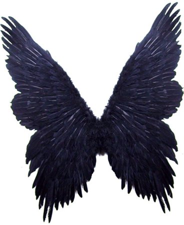 black fairy wings