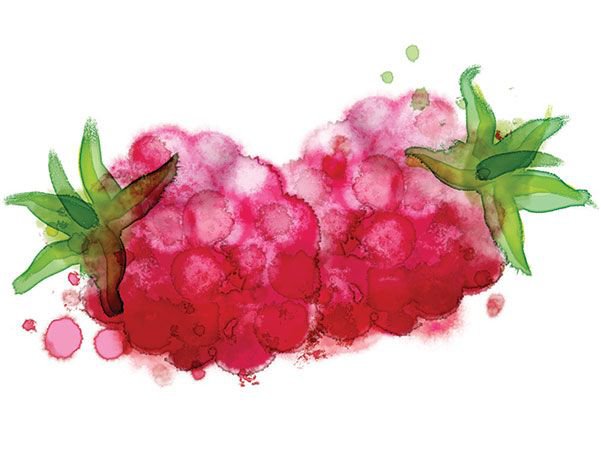 Watermark - work by Phillip Small | Fruit painting, Watercolor fruit, Strawberry watercolor