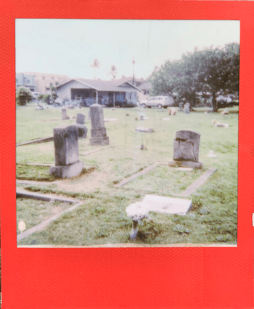 red cemetery polaroid by @samanthahazard