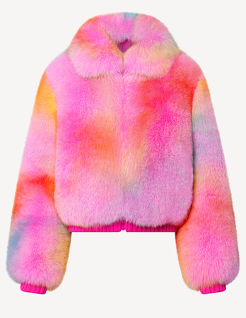 Louis Vuitton Fur Rave Blouson Jacket