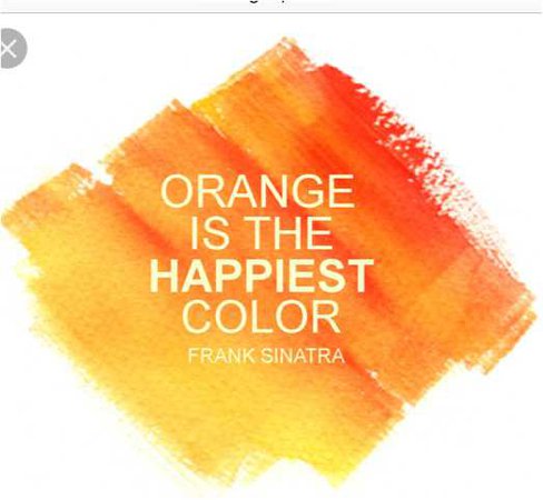 Orange Quote 🍊