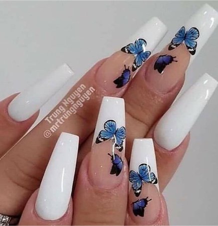 White&Blue butterfly nails