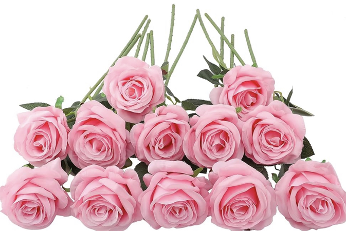 pink roses flowers