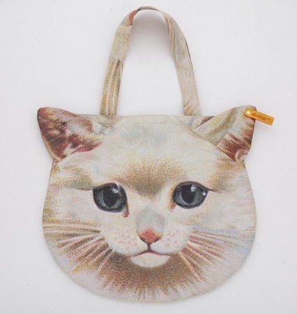 cat bag