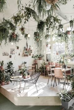 plant jungle romantic restaurant daylight vintage