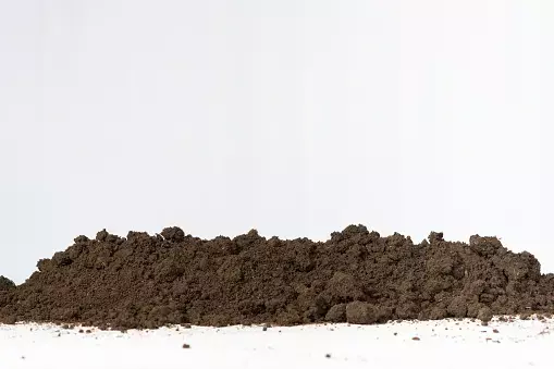 horizontal-soil-isolated-for-banner.webp (509×339)