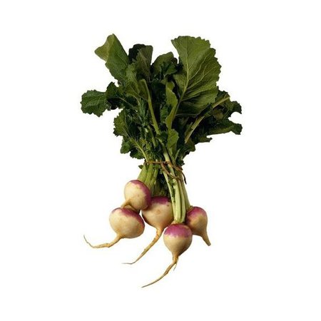 turnips png