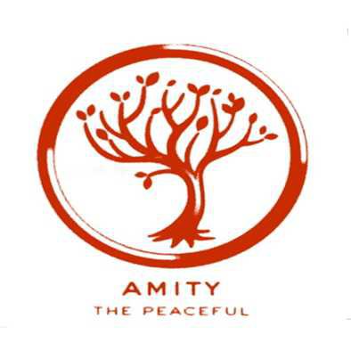 Amity - Divergent
