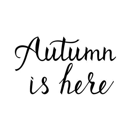 Modern Brush Phrase Autumn Is Here. Word Of Fall Isolated On.. Royalty Free Cliparts, Vectors, And Stock Illustration. Image 84859810.