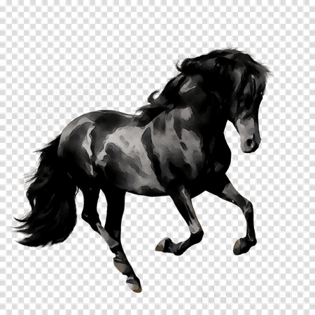 Animal Cartoon clipart - Black, Horse, Liver, transparent clip art