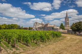 french winery - Google Search
