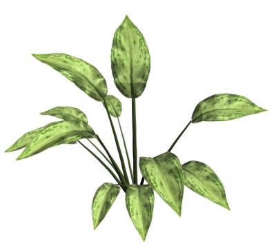 small plant drawing - Google Search