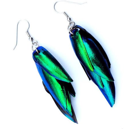 jewel beetle wing earrings