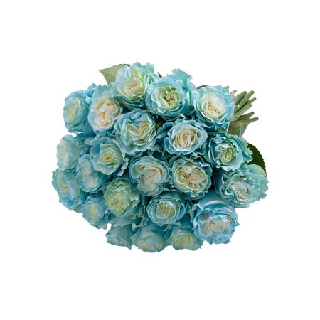 Light Blue Painted Roses – Bloomingmore