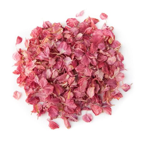 Raspberry Delphinium Petals
