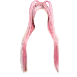 Pink Hair PNG Half Up Twin Pigtails
