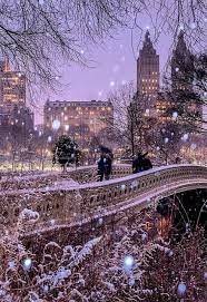 new york winter central park - Google Search