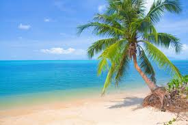 blue tropical ocean background - Google Search