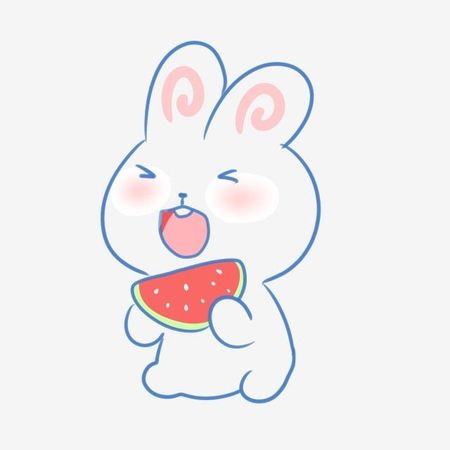 rabbit 🐇 cute