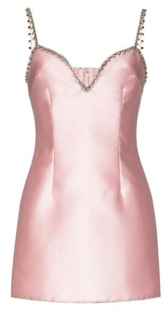 Area pink embellish dress