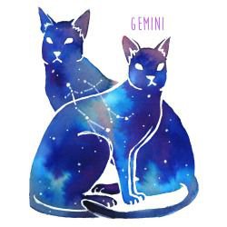 Gemini Cats