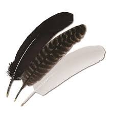feather quill pen quill - Google Search