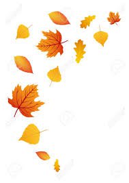dead leaves png - Google Search