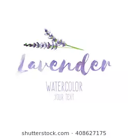 "words:_lavender" Images, Stock Photos & Vectors | Shutterstock