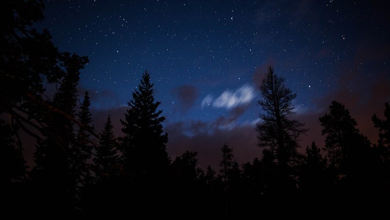 silhouette of trees under blue sky during night time photo – Free Estes park Image on Unsplash