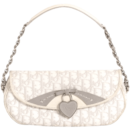 Dior purse bag png