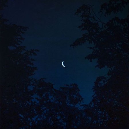 moon blue trees