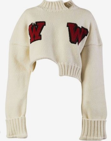 Alexander wang sweater