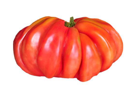 Tomato - Zapotec Pleated Heirloom Seeds – Sandia Seed Company