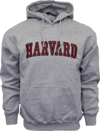 Grey Harvard hoodie