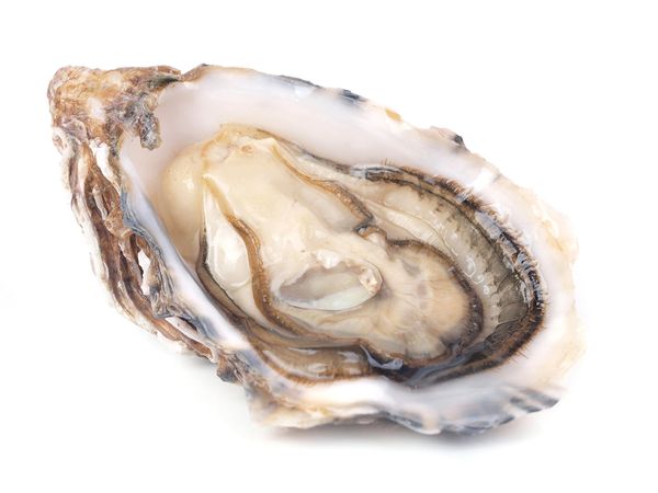 Fanny Bay Oysters by the dozen – Epicurean Seafood