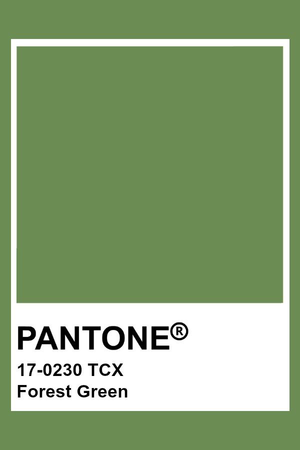 pantonr forest green