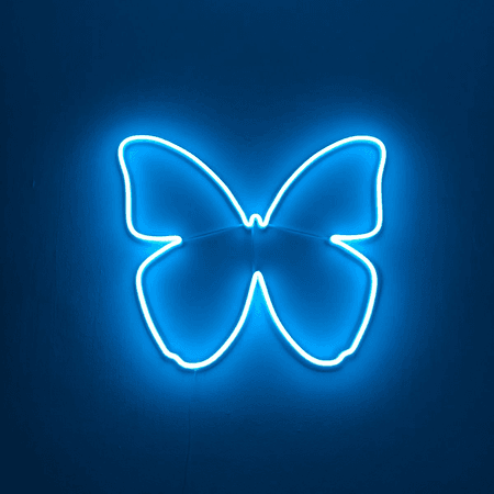neon blue butterfly