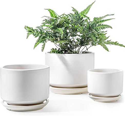 Amazon.com : LE TAUCI Indoor Planter, 4+5.5+6.6 Inch Ceramic Plant Pots with Drainage Hole, Round Flower Planter Pot for Plants with Saucer/Tray, Small to Large Sized, Cream White, Set of 3 : Garden & Outdoor